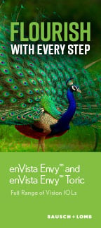enVista Envy Patient Brochure: English